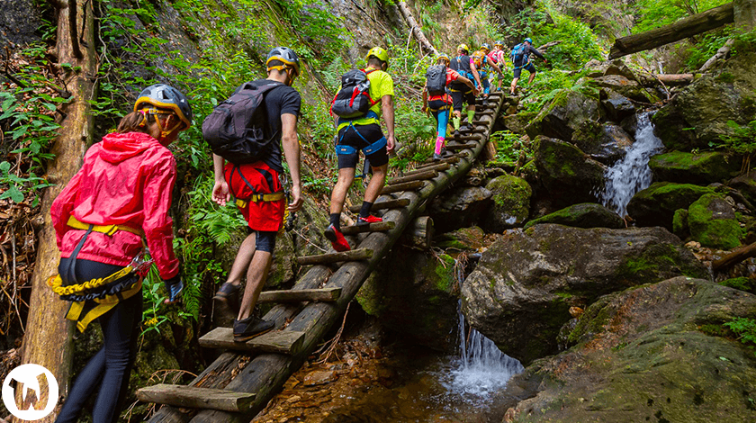 Intro image for Wachumba Evolution camp